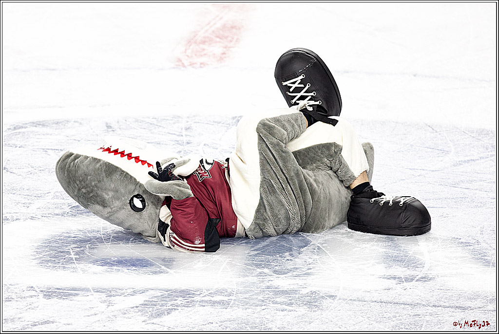 PENNY DEL;  Koelner Haie - Duesseldorfer EG ; Koeln, 17.12.2020